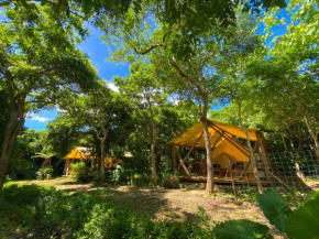 RAINBOW FOREST Permaculture filed - Vacation STAY 14689v